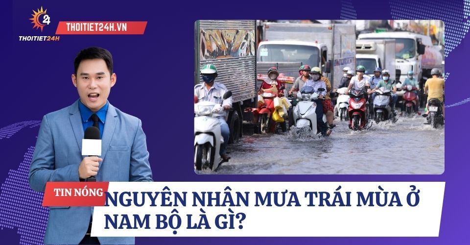 Mưa trái mùa ở Nam Bộ xuất hiện vào giữa tháng 2, liệu có bất thường?